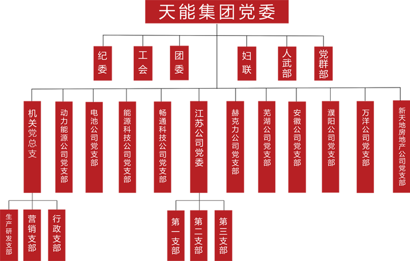 佰利乐建团党委组织架构